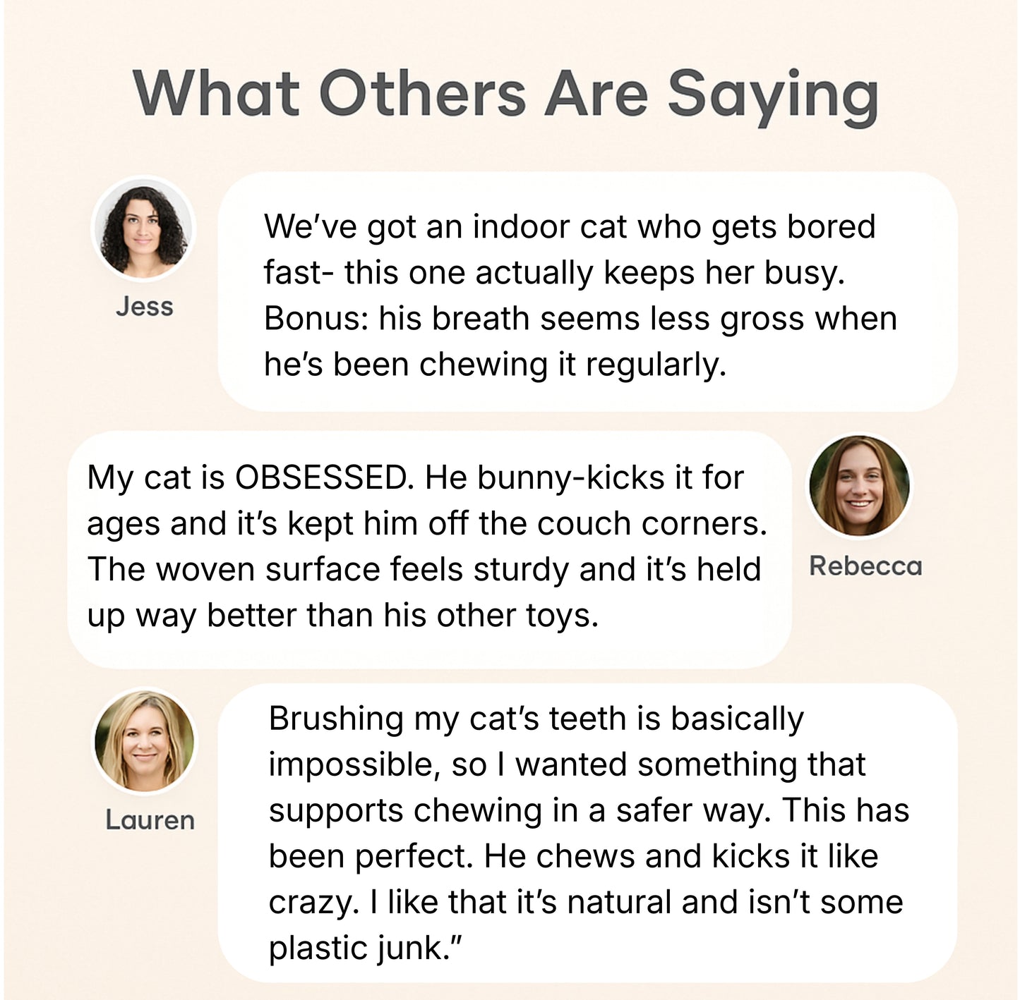 Bite & Buff Cat Pillow