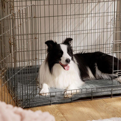 Self-Warming Pet Mat for Dogs & Cats