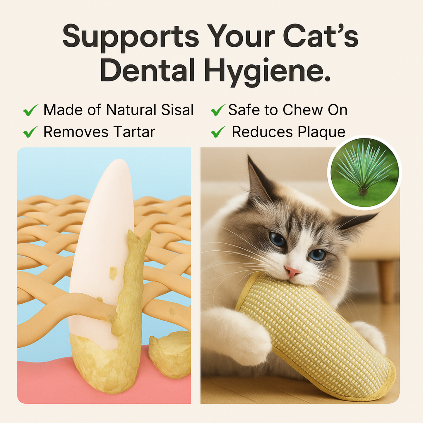 Bite & Buff Cat Pillow