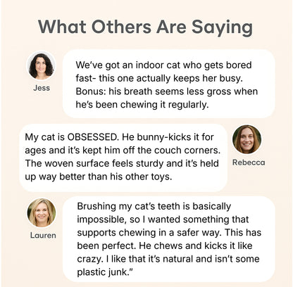 Bite & Buff Cat Pillow