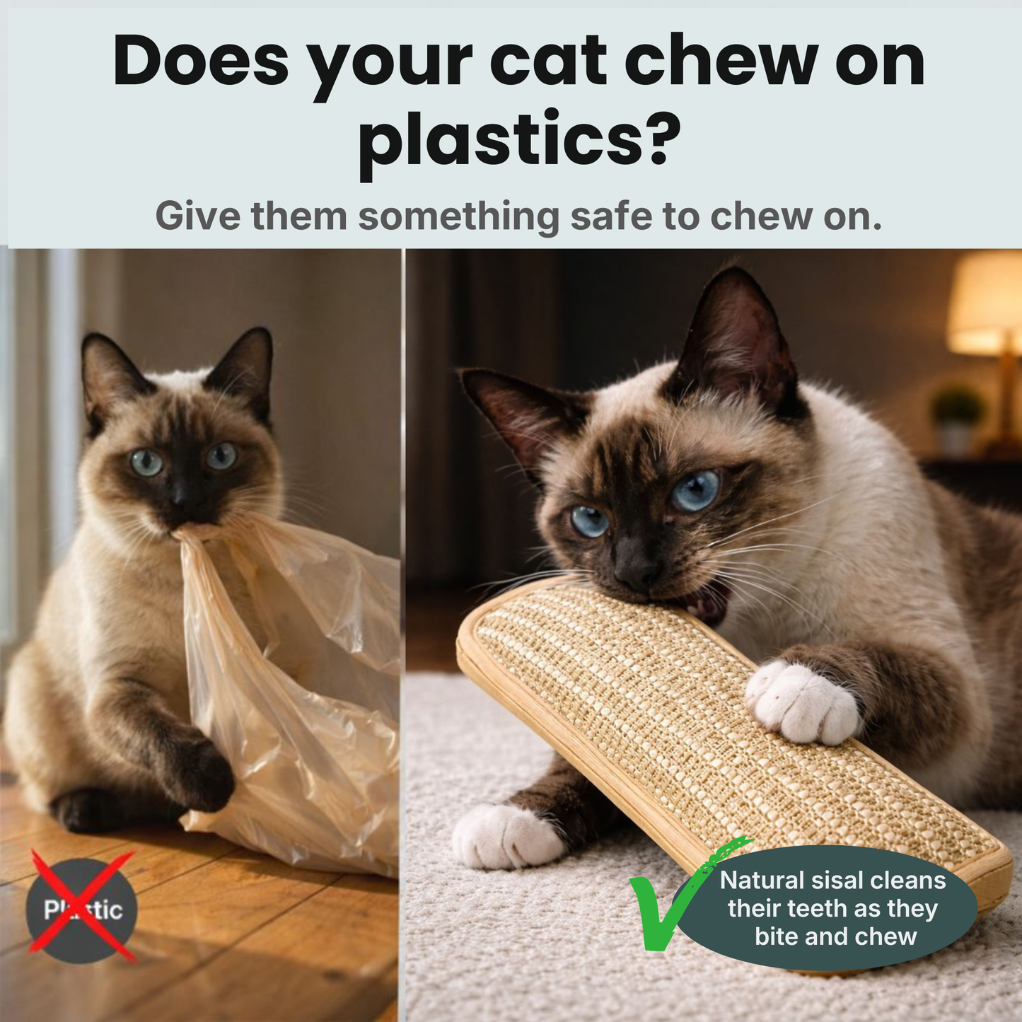 Bite & Buff Cat Pillow