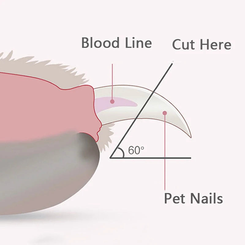LED Cat Nail Clipper